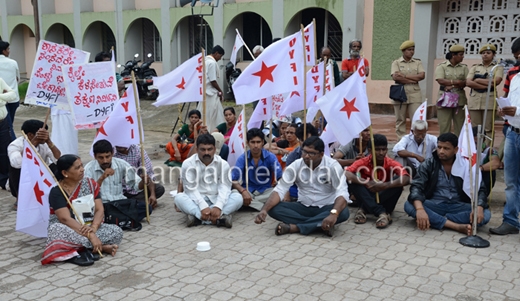 dyfi protest 1